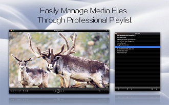 video player mac subtitles